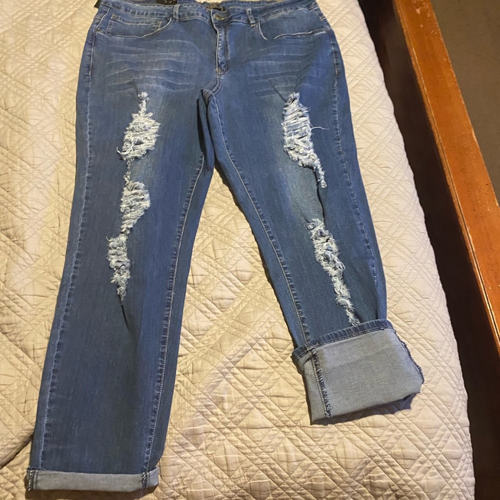 L&B jeans.  Distressed.  NWT. Size 22